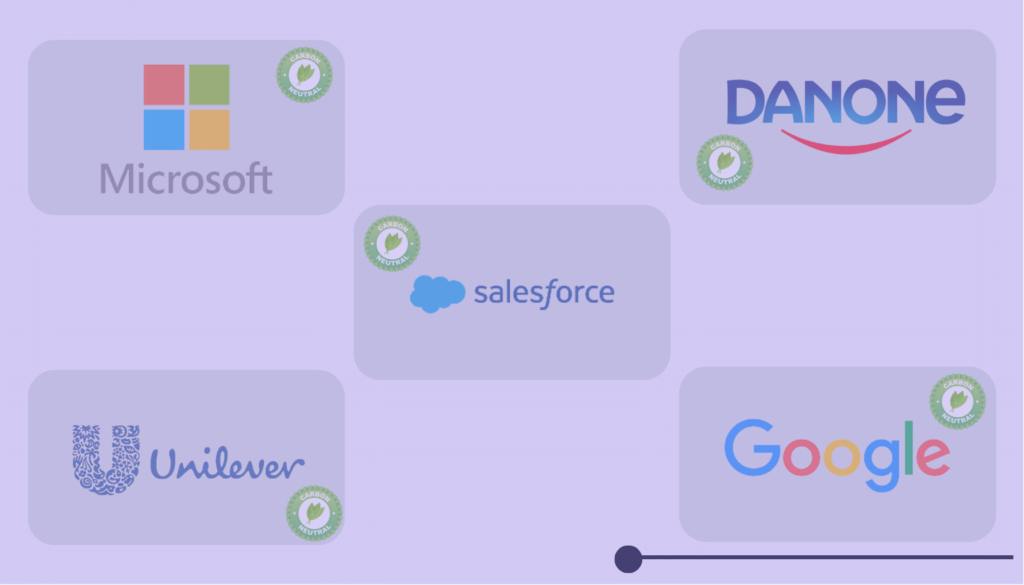 Achieve Carbon Neutrality Take Climate Action The Importance of Offsetting Your Company&rsquo;s Digital Carbon Footprint