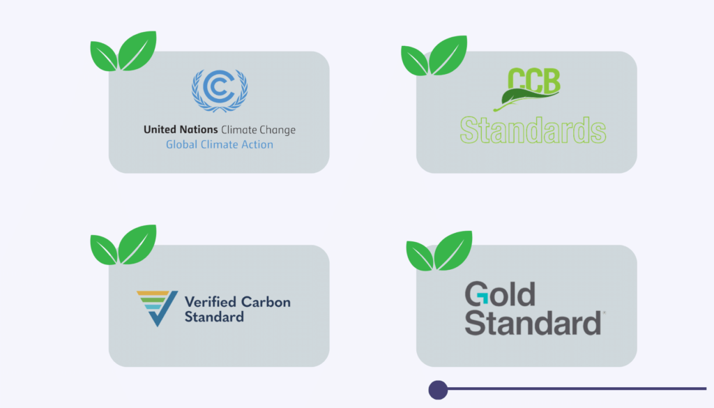Carbon Offset Programs Best Carbon Offset Programs for Your Company